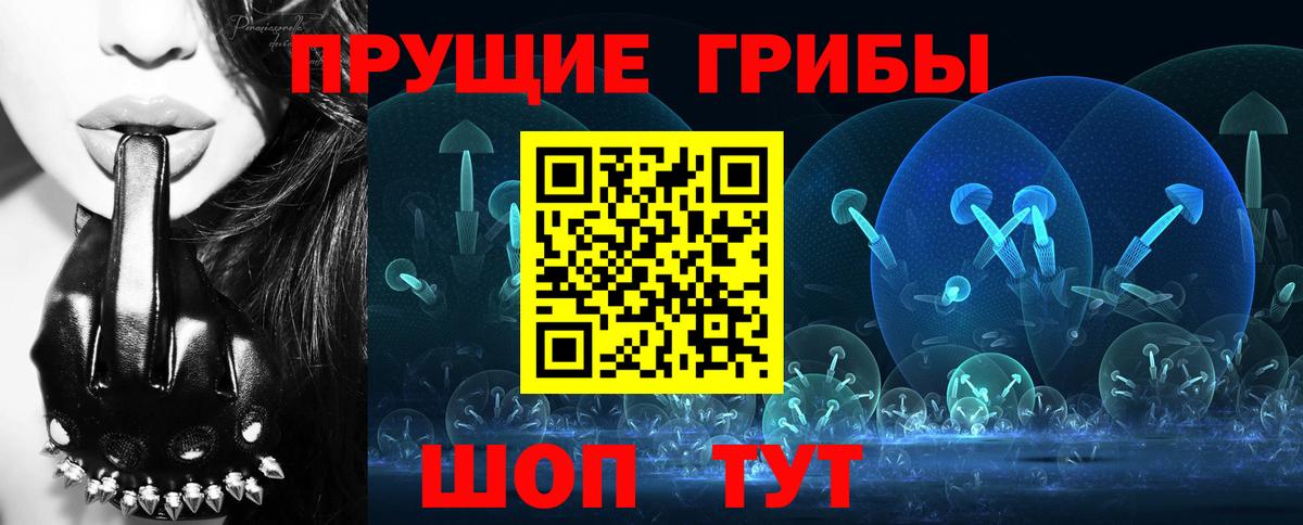 Тамбов  Галлюциногенные грибы Cubensis  Псилоцибиновые грибы Psilocybe  Вход с VPN 